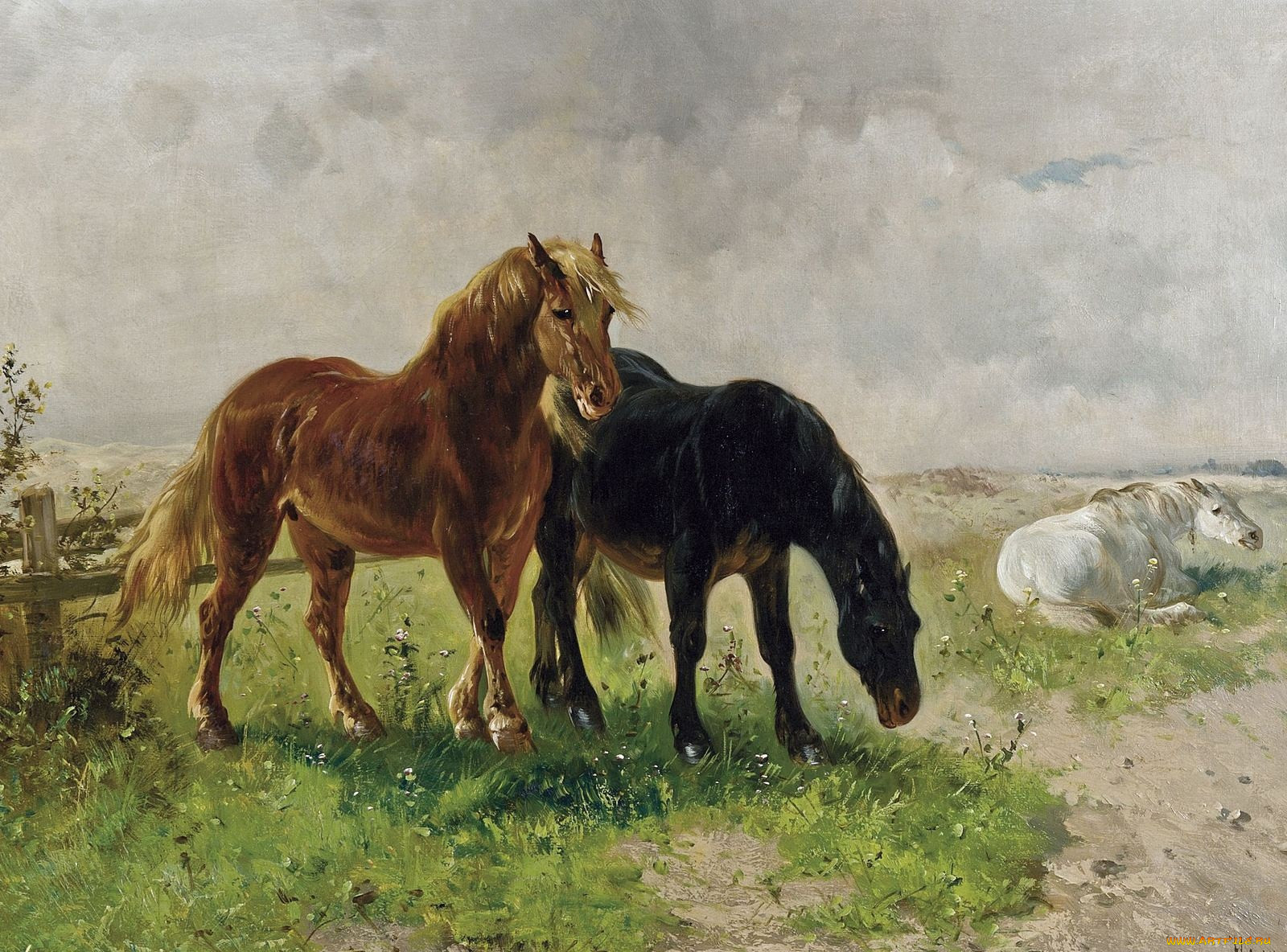 , henry, schouten, 